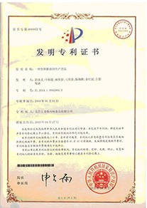 发明专利3